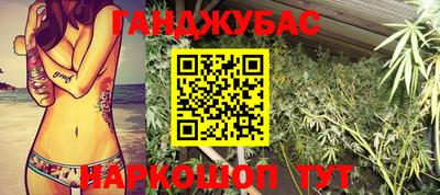 a pvp Камышлов