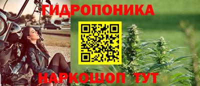 a pvp Камышлов
