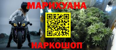 a pvp Камышлов