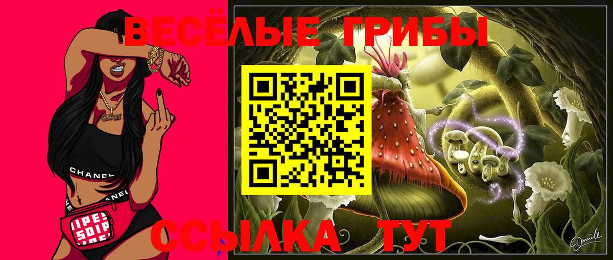 Галлюциногенные грибы прущие грибы Майкоп